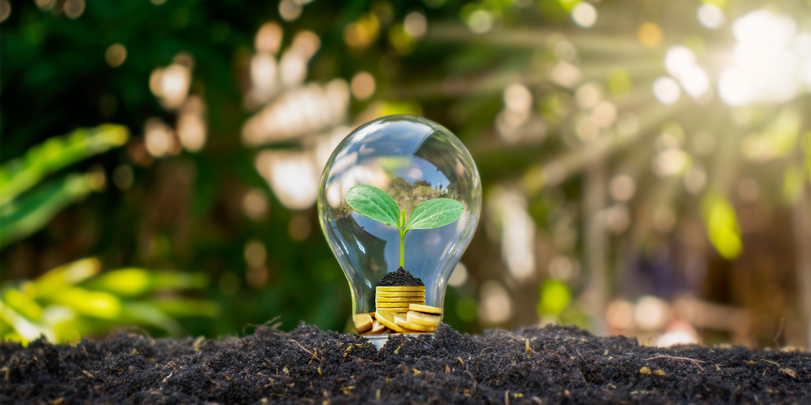 Giornata internazionale dl risparmio energetico